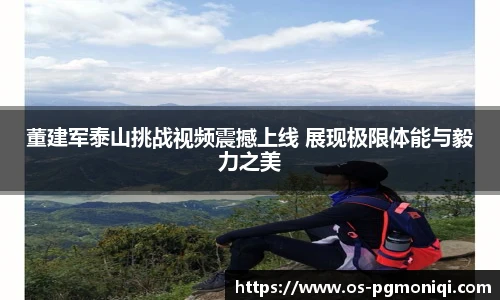 PG电子模拟器
