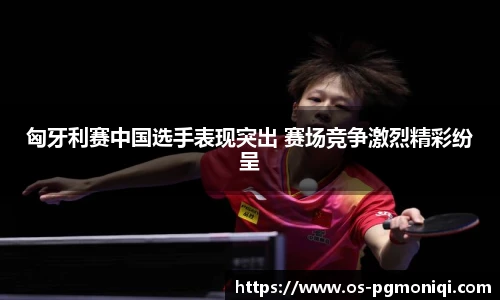 PG模拟器