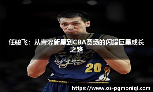 任骏飞：从青涩新星到CBA赛场的闪耀巨星成长之路