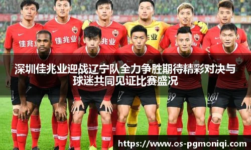 深圳佳兆业迎战辽宁队全力争胜期待精彩对决与球迷共同见证比赛盛况