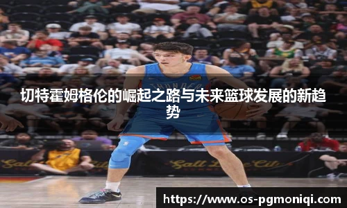 PG模拟器官网