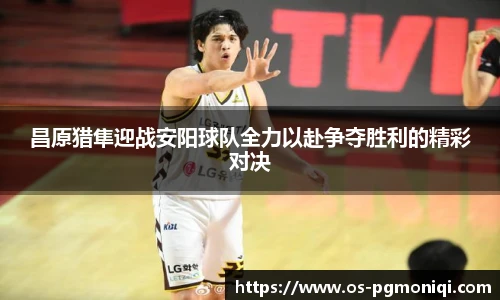 昌原猎隼迎战安阳球队全力以赴争夺胜利的精彩对决